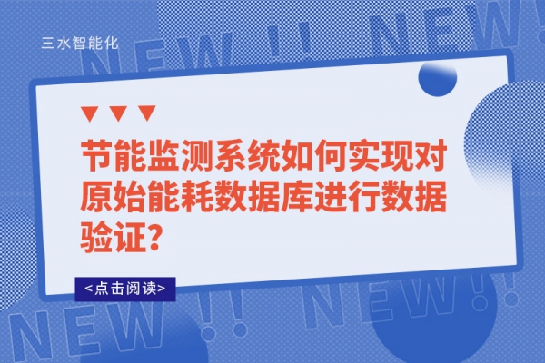 节能监测系统如何实现对原始能耗数据库进行数据验证？